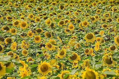 《战争机器：重装上阵》测试版泄露大小与发布时间